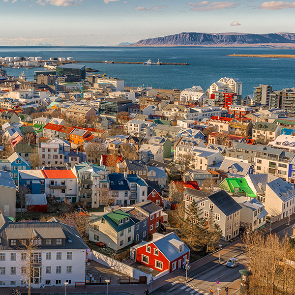 Dyrasímakerfi fyrir ný og eldri hús color